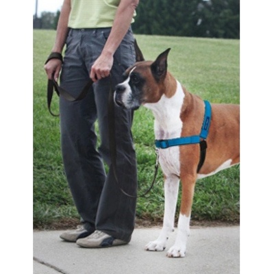 PetSafe Postroj EasyWalk Deluxe