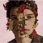 Universal Shawn Mendes: Shawn Mendes - CD (088269)
