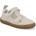 KTR Beige