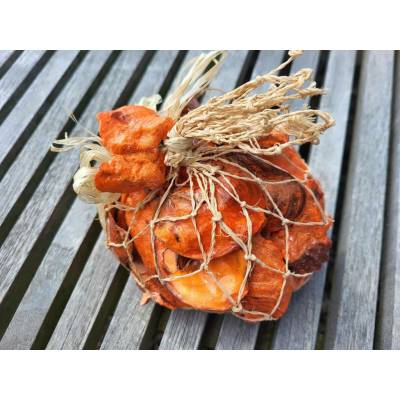 Dijk Natural Collection Mušle Oyster shell oranžová 250 g