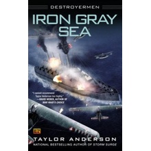 Iron Gray Sea