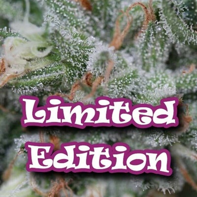 Dr. Underground Gorilla OG semena neobsahují THC 5 ks