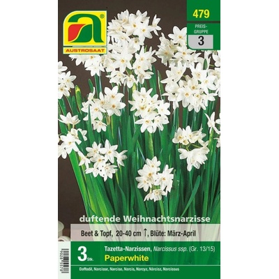 AUSTROSAAT Tazetový narcis "Paperwhite" - 3 cibúľ
