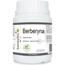 Kenay Berberín REBERSA 300 kapsúl