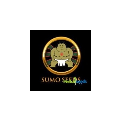 Sumo Seeds Green Mango semena neobsahují THC 3 ks