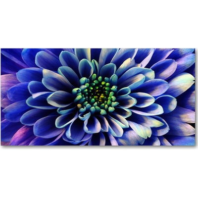 Fotoobraz na skle astry 100x50 cm