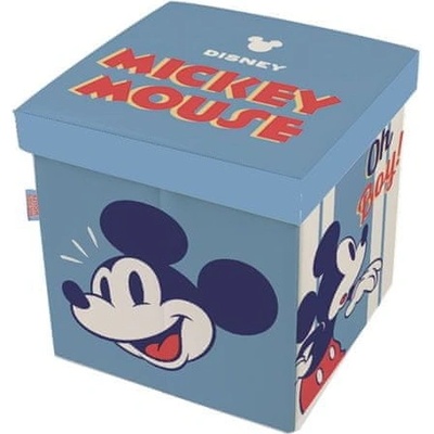 Arditex box s vrchnákom 2v1 Mickey Mouse WD14433