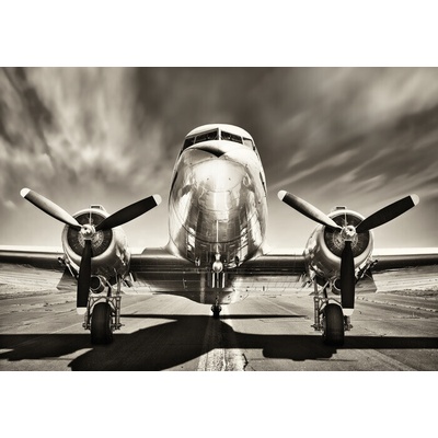 Plagát, Obraz - Aeroplane monochromatic, 120 × 80 cm