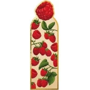 Henry London Magnetic Raspberry Bookmark