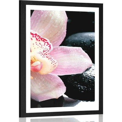 Plakát s paspartou exotická orchidej - 20x30 silver