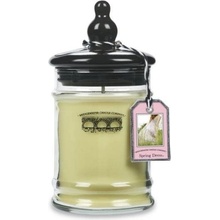 Bridgewater Candle Company Spring Dress 250 g