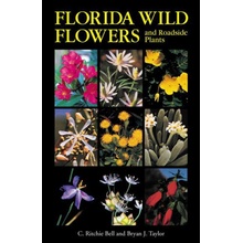 Florida Wild Flowers and Roadside Plants