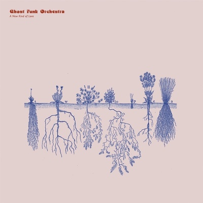 GHOST FUNK ORCHESTRA - A NEW KIND OF LOVE CD