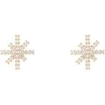 Daniel Wellington Дамски стоманени обеци Daniel Wellington Mirelle Star DW00401612 Daniel Wellington | Mnogotsveten | ЖЕНИ | UNI