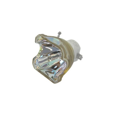 Lampa do projektora DUKANE ImagePro 8913H, kompatibilná lampa bez modulu