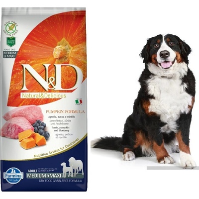 N&D Pumpkin Dog Adult Medium & Maxi Grain Free Lamb & Blueberry 2,5 kg
