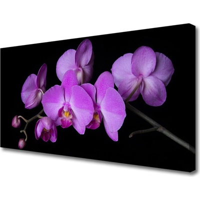 Obraz Canvas Vstavač orchidea kvety 100x50 cm