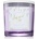 DW HOME Winter Wonderland Sugared Fig ароматна свещ 510 гр