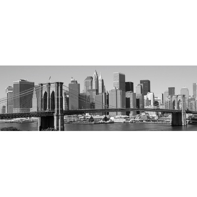 Dimex M-303 vliesová fototapeta na zeď Manhattan rozměry 330 x 110 cm
