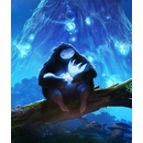 Hry na PC Ori and the Blind Forest (Definitive Edition)