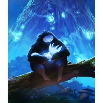 Ori and the Blind Forest (Definitive Edition)
