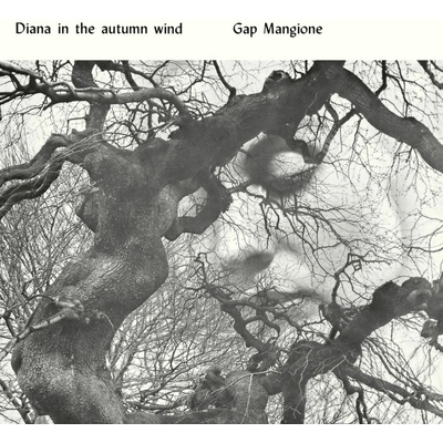 Gap Mangione - DIANA IN THE AUTUMN WIND LP