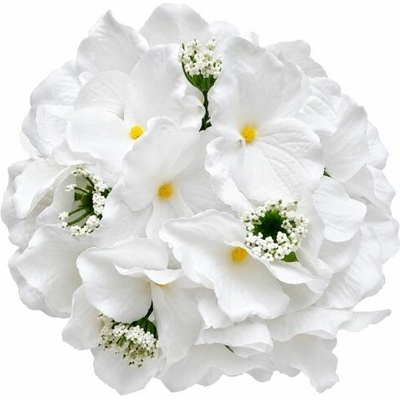 Umelá hortenzia biela priemer 19 cm