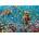 Bluebird Puzzle - Puzzle Under the Sea 260 - 260 piese