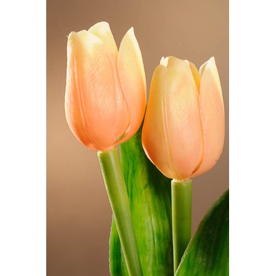 Paramit Umělý tulipán broskvový 40 cm