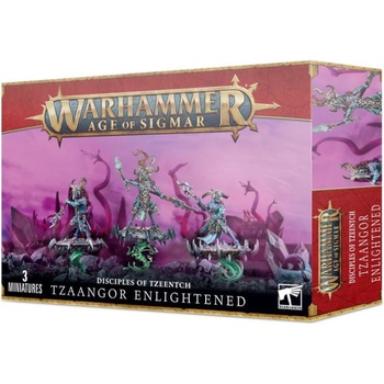 Games Workshop Tzaangor Enlightened (83-74)