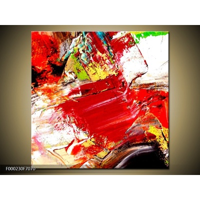 Moderní obraz F000230F7070 (Jednodílný 70x70 cm)