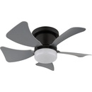 Globo 03609A