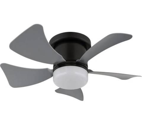 Globo 03609A