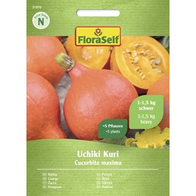 Dýně hokkaido Uchiki Kuri FloraSelf