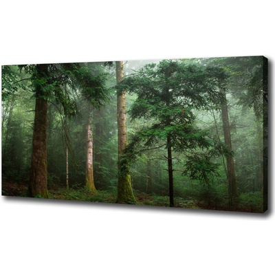 Foto obraz na plátne Hmla v lese 100x50 cm