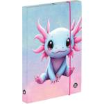 KARTON P+P Кутия за тетрадки A4 Axolotl (3-75426)