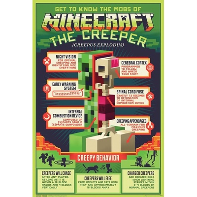 Plagát, Obraz - Minecraft - Creepy Behaviour, (61 x 91,5 cm)