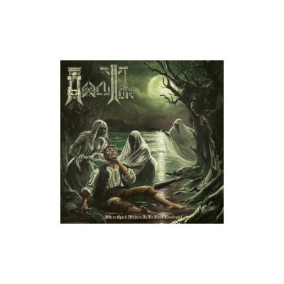 Hexecutor - Where Spirits Withers In Its Flesh Constr. Vinyl LP