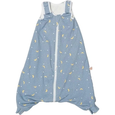 Ergobaby Спално чувалче с крачета Ergobaby - On The Move, Stellar, Tog 2.5, 18-36 м, размер L (SLBLGSTELL25)