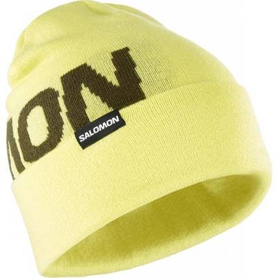 Salomon Hermitage beanie LC2152700 charlock