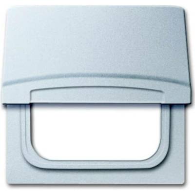 Busch-Jaeger 2CKA001710A3785
