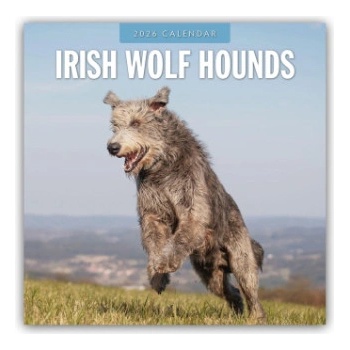 Browntrout Verlags GmbH Irish Wolfhounds - Irischer Wolfshund 2026 - 16-Monatskalender