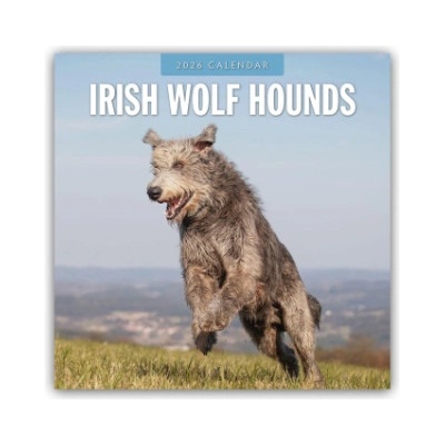 Browntrout Verlags GmbH Irish Wolfhounds - Irischer Wolfshund 2026 - 16-Monatskalender | Red Robin
