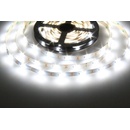 T-LED 078113