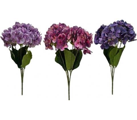 KYTICA HYDRANGEA MIX/3F