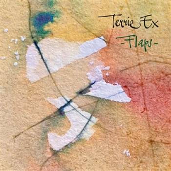 Terrie Ex - Flaps (LP) (0718752235716)