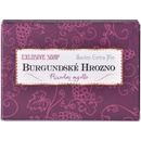Soaptree Burgundské hrozno prírodné mydlo v krabičke 40 g