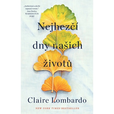 Nejhezčí dny našich životů - Claire Lombardo