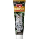 Perfecto Cat Vitamínová pasta 100 g