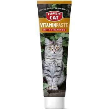 Perfecto Cat Vitamínová pasta 100 g